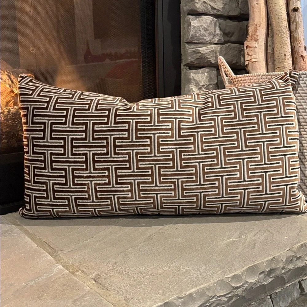 AVA Premium Luxury Waterfowl feather encased interior,velvet,zipper,throw pillow